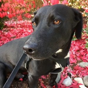 Meet your Posher, Austin